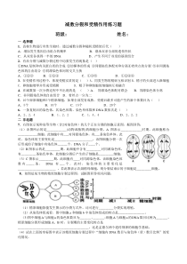 减数分裂和受精作用专题和答案