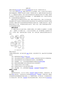 减数分裂知识点讲解及例题解析