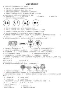 减数分裂练习题