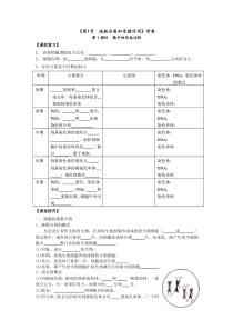 减数分裂学案及答案