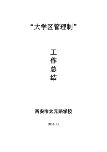 2013.大学区工作总结(已修改)