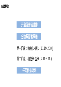 项目开盘前蓄客计划10.10(最终)