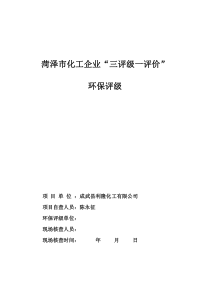 成武化工项目环保评分工作模板