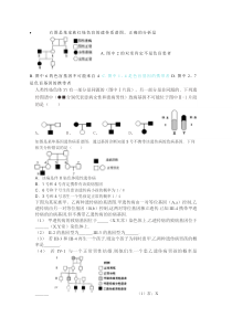 伴性遗传图谱分析