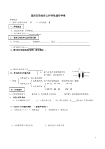 伴性遗传学案