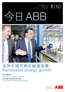 支持中国可再生能源发展Renewableenergygr