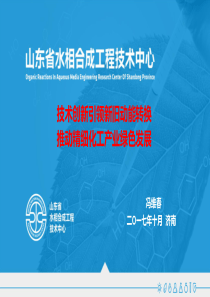 技术创新引领新旧动能转换,推动精细化工产业绿色发展