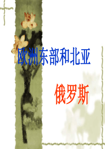 俄罗斯课件.