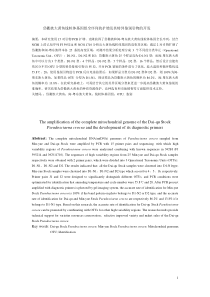 全稿-岱衢族大黄鱼线粒体基因组全序列的扩增及特异鉴别引物的开发