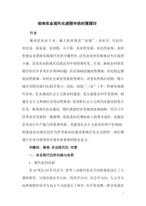 湖南农业现代化进程中的对策探讨