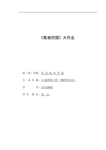 数据仓库与数据挖掘实验报告-