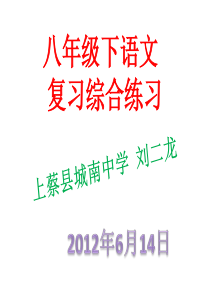 八年级下语文总复习综合练习题