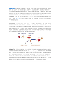 免疫学实验流式CBA多因子检测