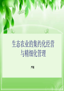 生态农业的集约化经营与精细化管理