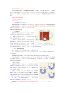 人体生理学2