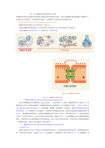 人体生理学3