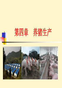 畜牧业概论_养猪生产（PDF43页）