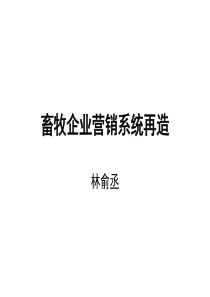 畜牧企业营销系统再造1