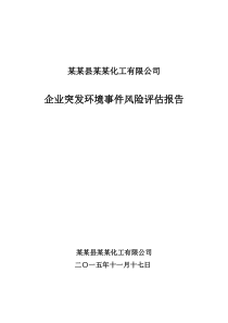 某某化工有限公司环境风险评估报告