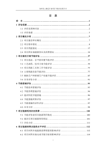 染料化工搬迁项目节能评估报告