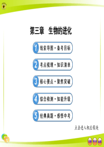 人教版__初中生物__中考复习_八下___第七单元____第三章__生物的进化.