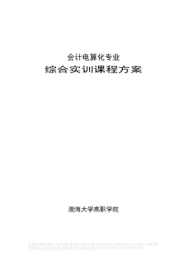 会计电算化专业综合实训方案