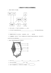 人教版初中生物识图专题(整理版)