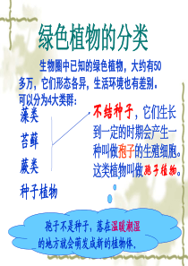 人教版生物七年级上册第三单元第一章第一节藻类苔藓和蕨类植物