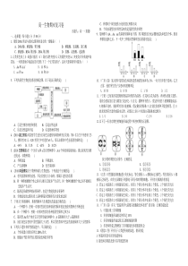 人教版生物必修二期末测试