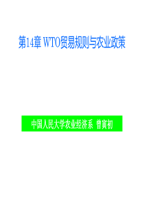 第14章WTO贸易规则与农业政策(比较农业经济学-中国人