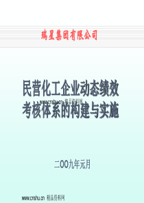 民营化工企业动态绩效考核体系的构建与实施(ppt69页)