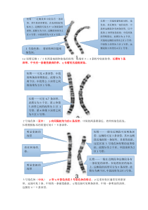 人类染色体G显带