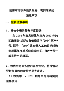 使用审计软件出具报告填列底稿的注意事项