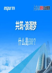 什么是ERP-请客版