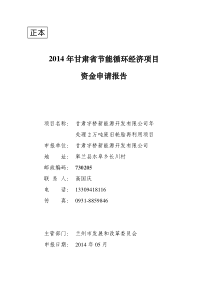 桥新能源开发有限公司年处理2万吨废旧轮胎再利用项