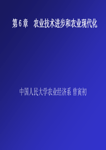 第6章农业技术进步和农业现代化(比较农业经济学-中国