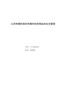 从恐怖爆炸到民用爆炸危险物品的安全管理胡世裕