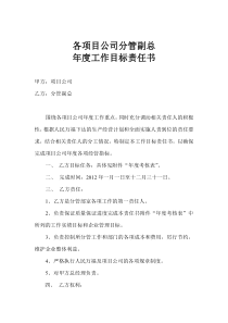 各项目公司分管副总年度工作目标责任书