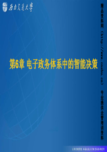 电子商务课程第6章电子政务中的智能决策PPT