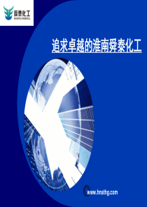 淮南舜泰化工有限责任公司市长质量奖汇报材料