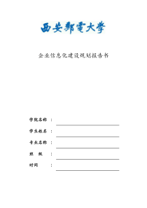 企业信息化集中实践报告