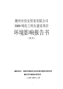 潮州市佳安贸易有限公司3000吨化工码头建设项目80页