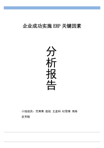 企业成功实施ERP的关键因素分析及建议