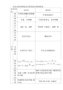 光反应阶段和暗反应阶段的区别和联系