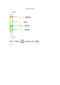 光合作用知识点(六)