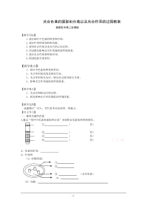 光合色素的提取和分离以及光合作用的过程教案