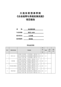 企业组网与系统实施实践项目报告