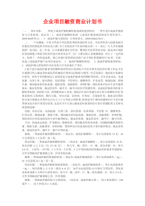 企业项目融资商业计划书