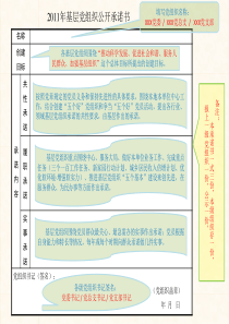 党员公开承诺表格填写说明