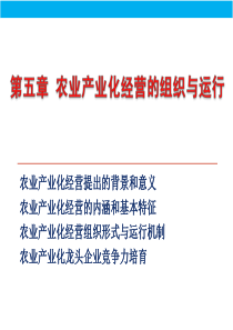 第五章_农业产业化经营组织形式与运行机制